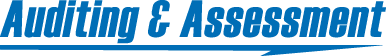 Auditing & Assessment