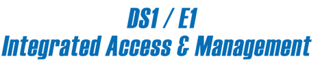 DS1 / E1 Integrated Access