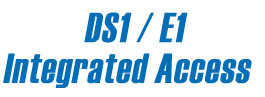 DS1 / E1 Integrated Access